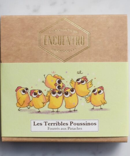 Encuentro 9 pulcini cioccolato fondente 70% ripieni di crema al pistacchio